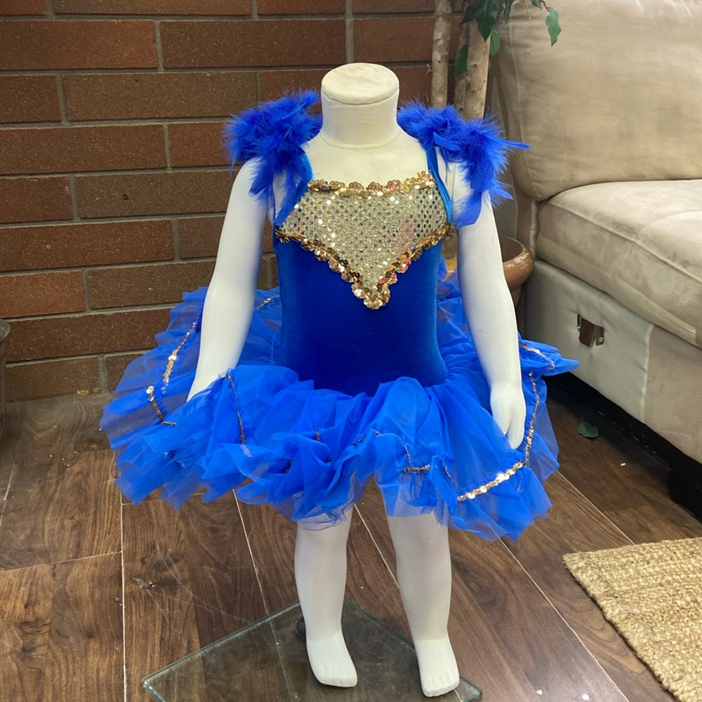 Kids bluebird costume
